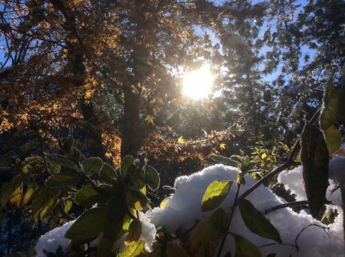 51661762_1071578559694262_4783370446957445120_n